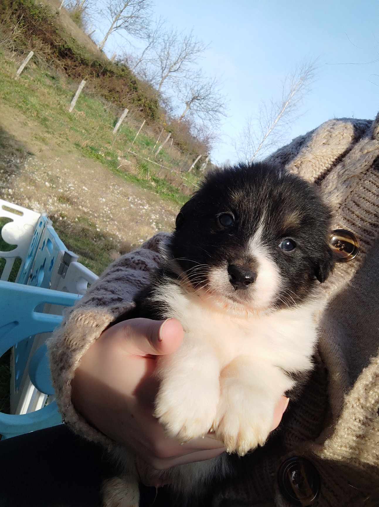 417913703 694320782726239 477757623968211975 n