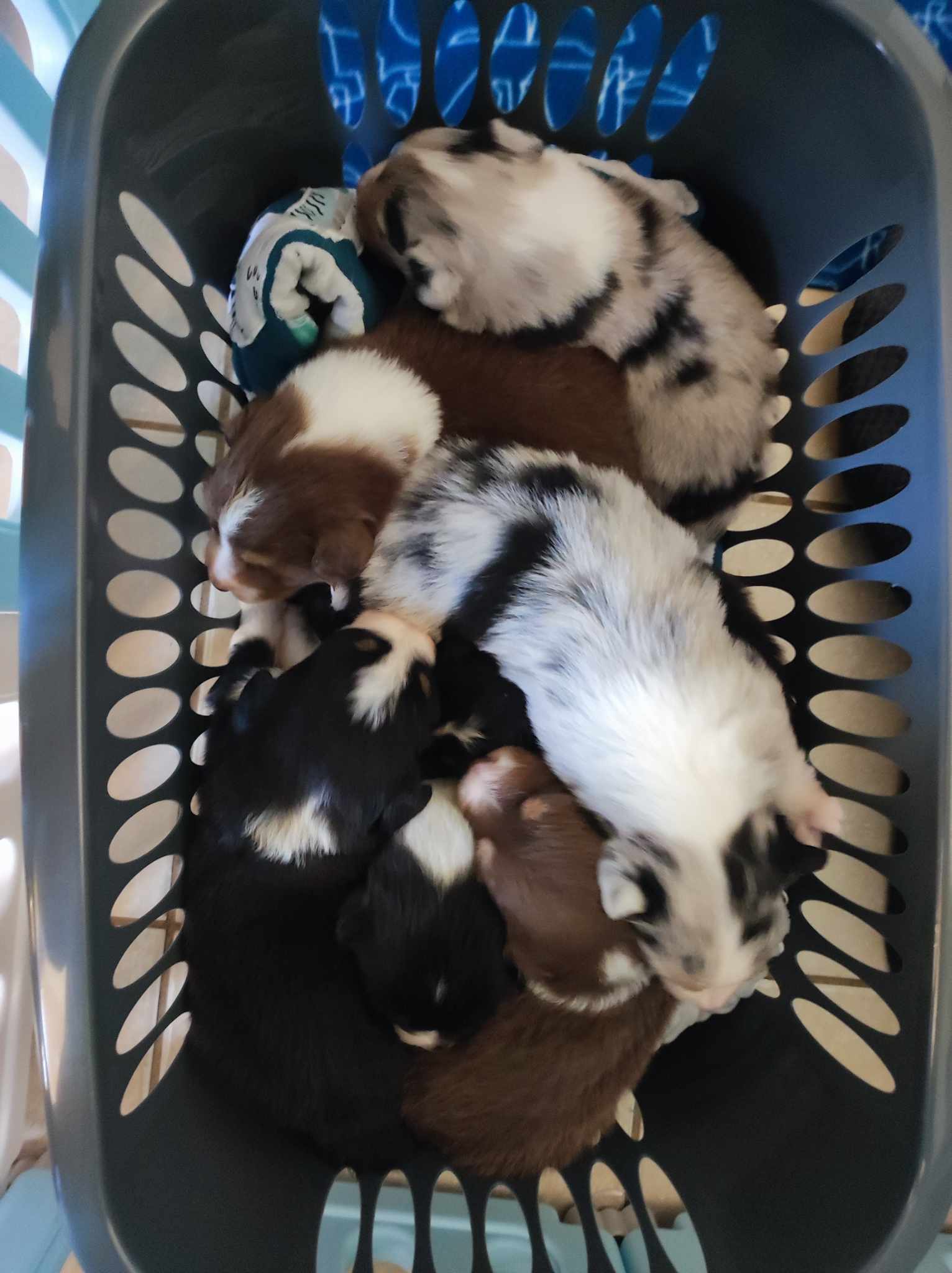 417738643 1092665761786270 8529523497284297094 n