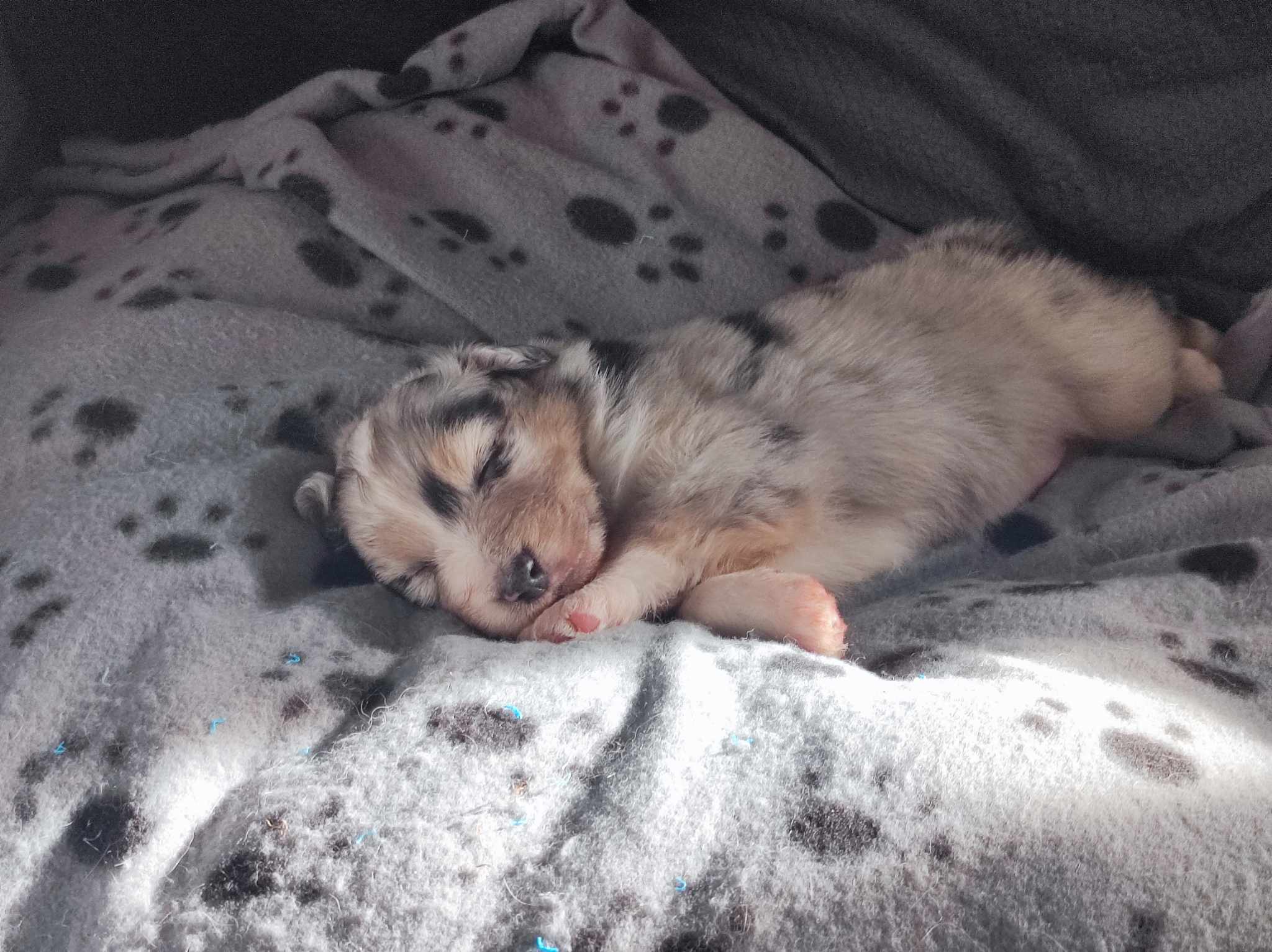 417653594 755941762760050 6078389103463817164 n