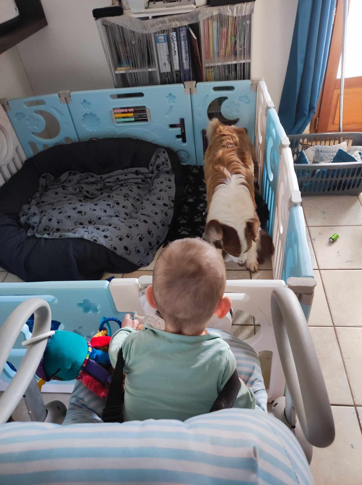 417615516 1403303070279568 5347952812253391196 n