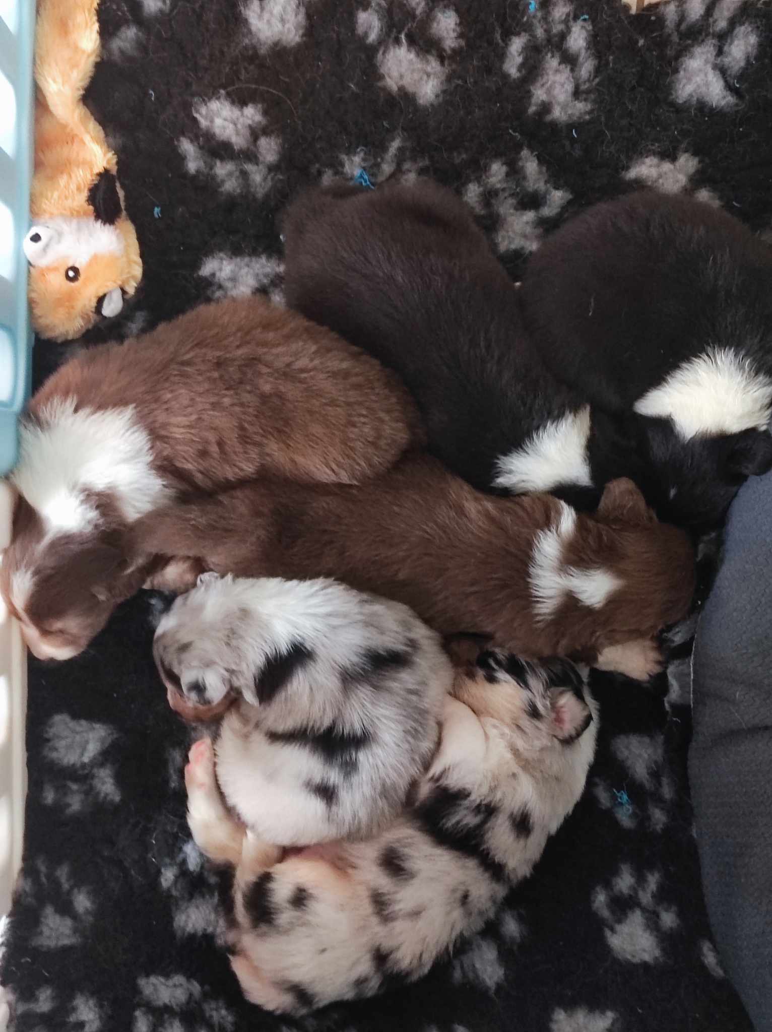 417612085 1327302141279142 5484411576085167513 n