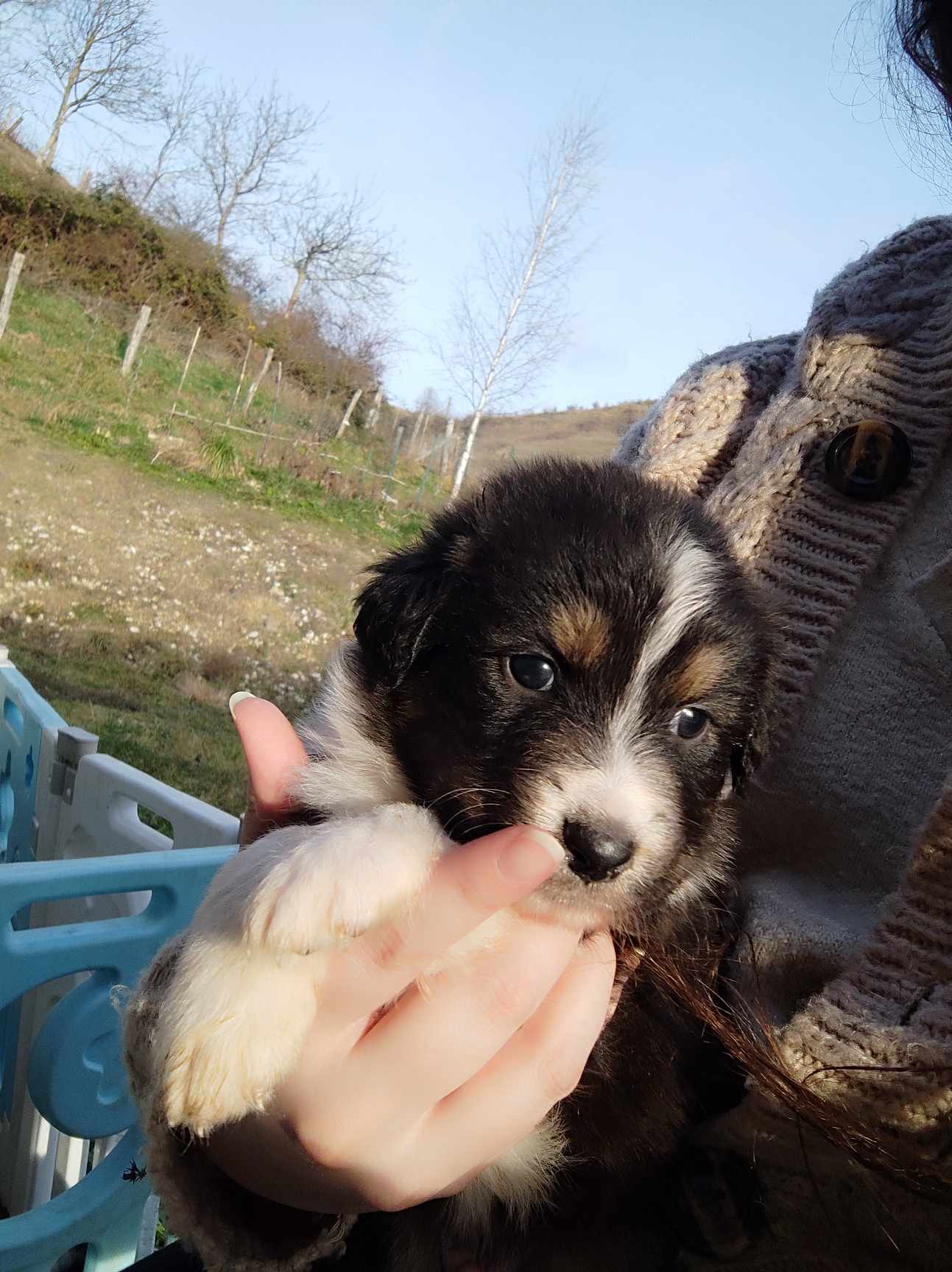 417591125 1032304837856532 650476115939452240 n 1 