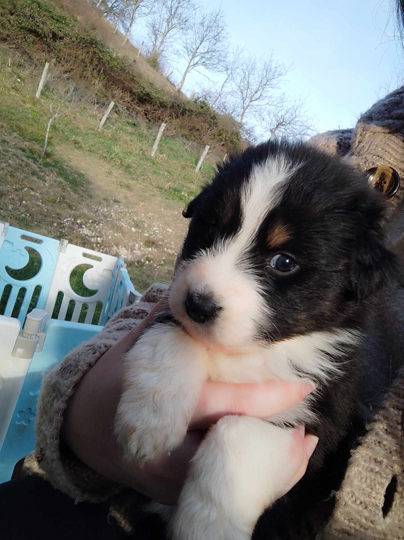 417553213 348224301454277 8075741216673056258 n