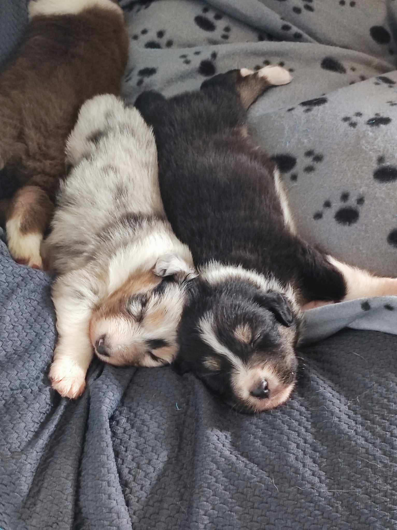 417404516 751253230220641 2503707618931673582 n