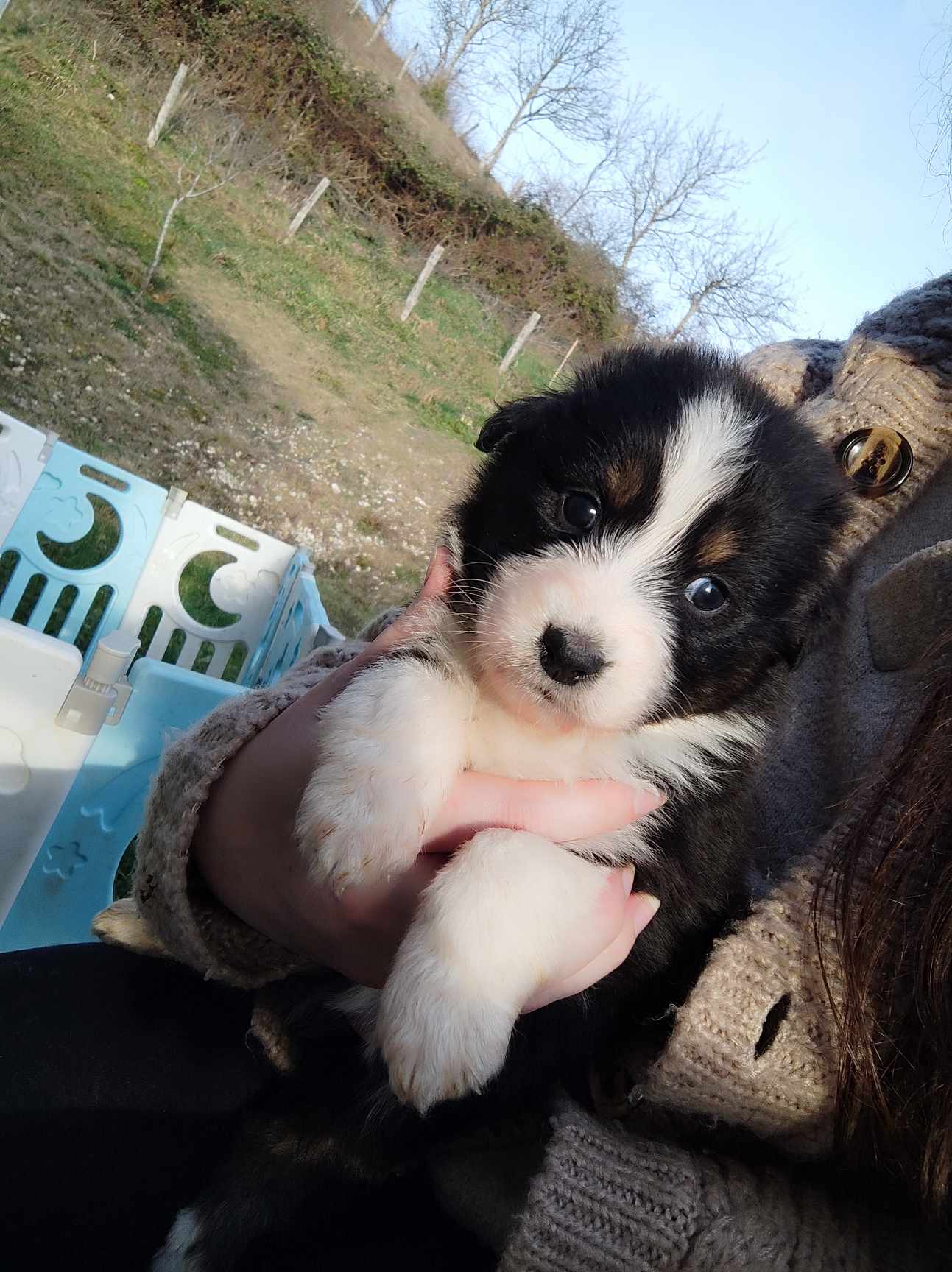 417345513 1107397950272451 4224072593915330371 n