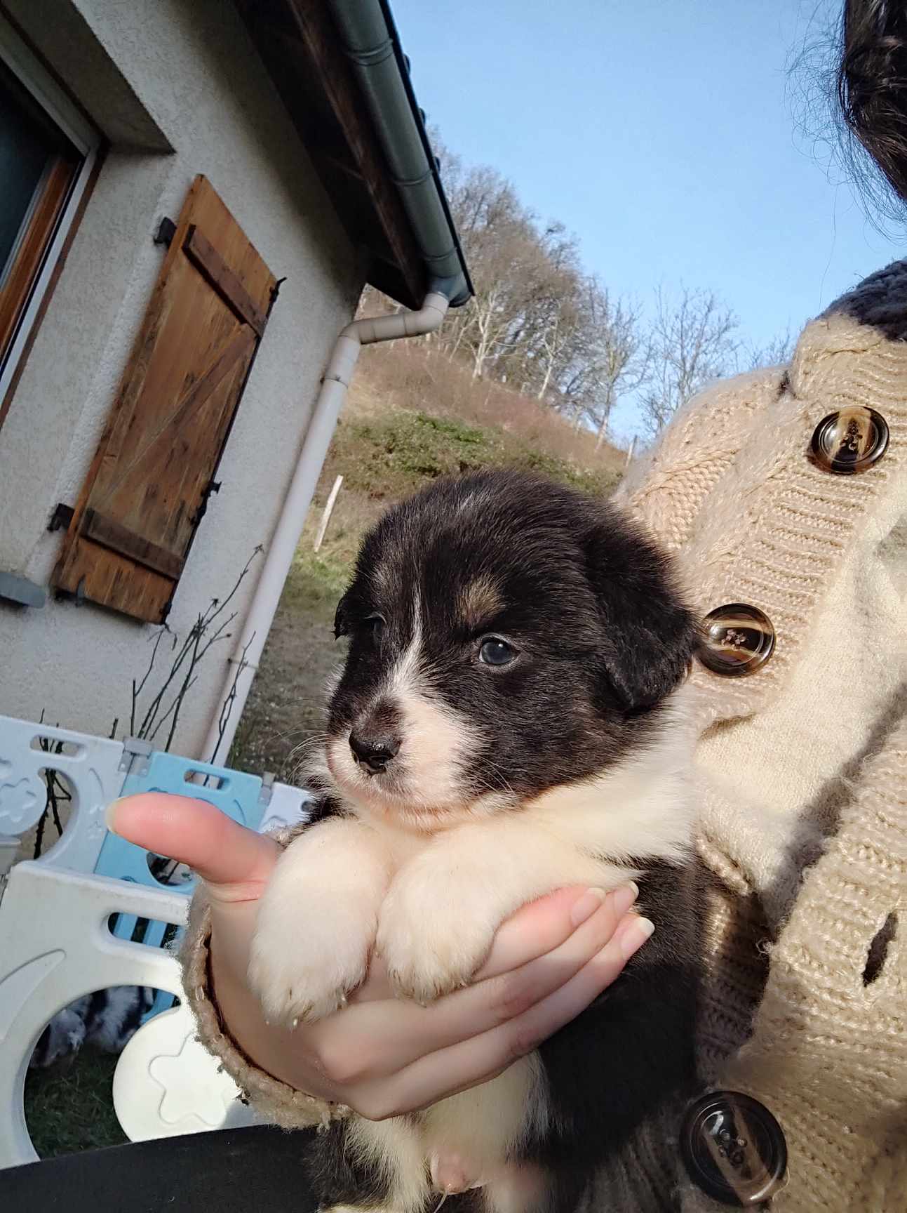 416686305 736186671941942 4852252541546048781 n