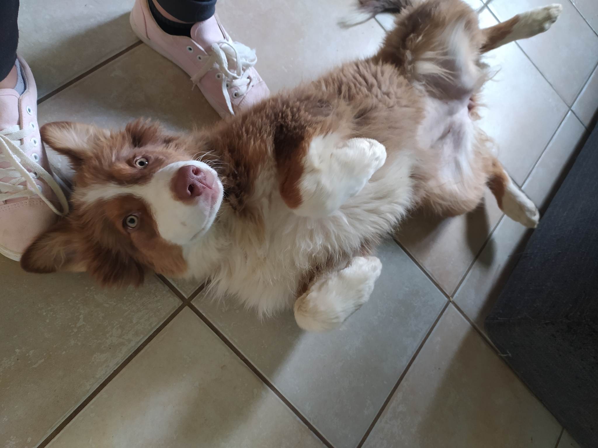 353758318 3230941023827871 7264626156997864159 n