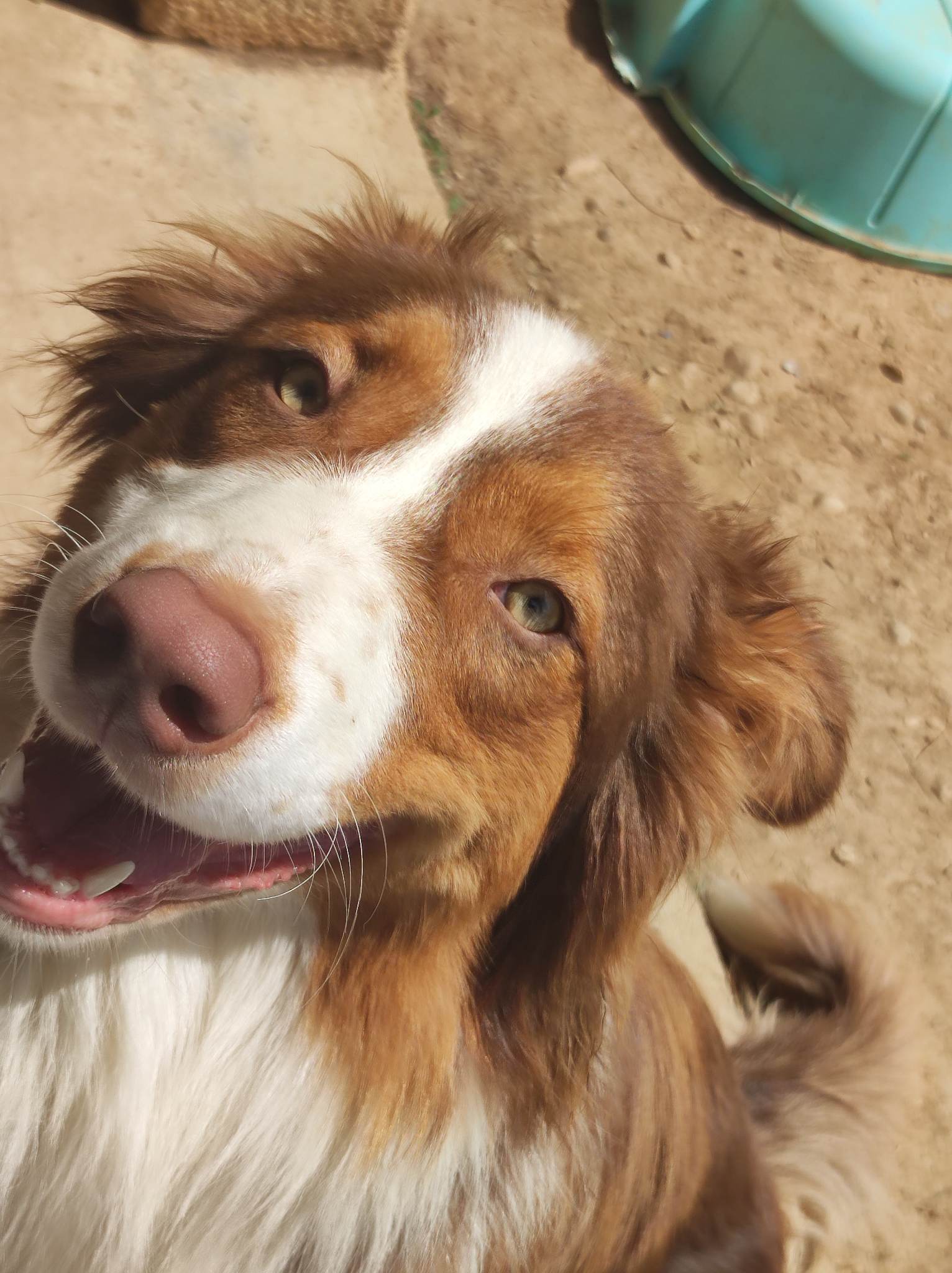 353748103 801734727911329 6325020501763593609 n