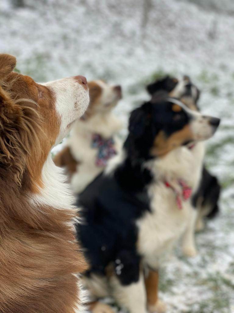 353770934 804060127658309 884663160550011055 n