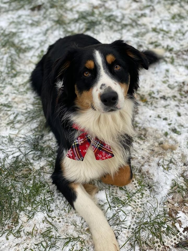 322504736 1602608173515374 6774846653947850436 n