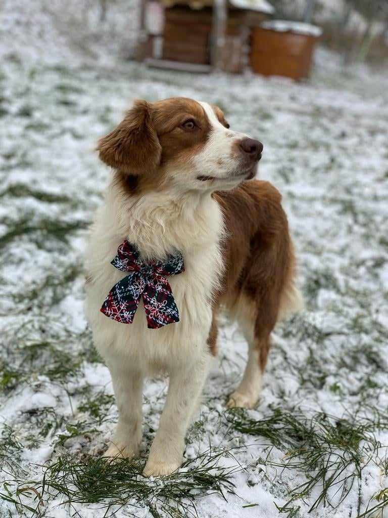 354736304 284760057392132 2554759058795096824 n