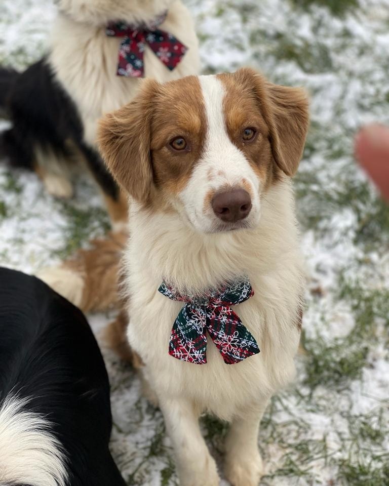 329712591 1310326856177883 1476475528908518950 n