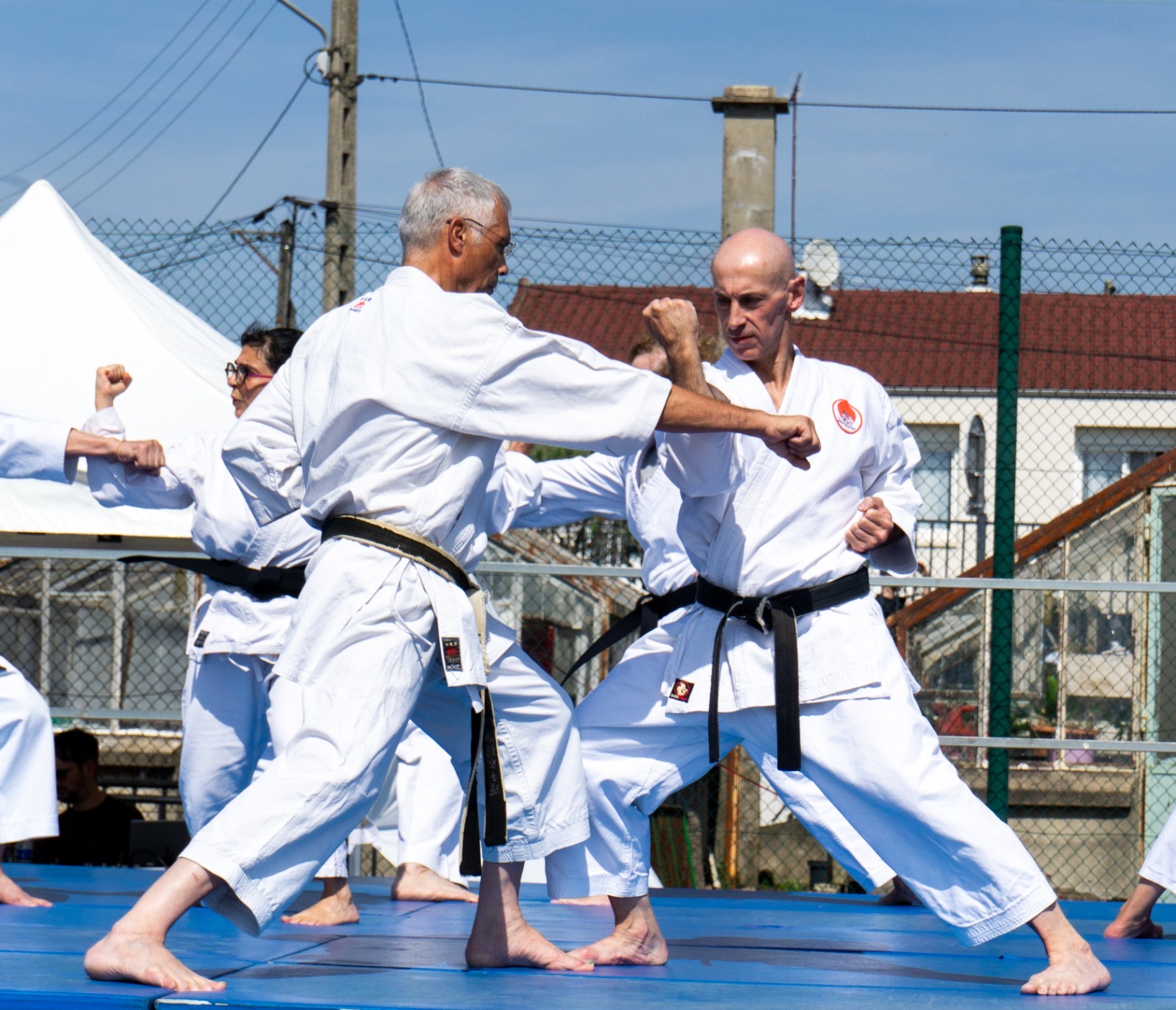 Fccf6b9d 52d4 413c a67d f59705c93617