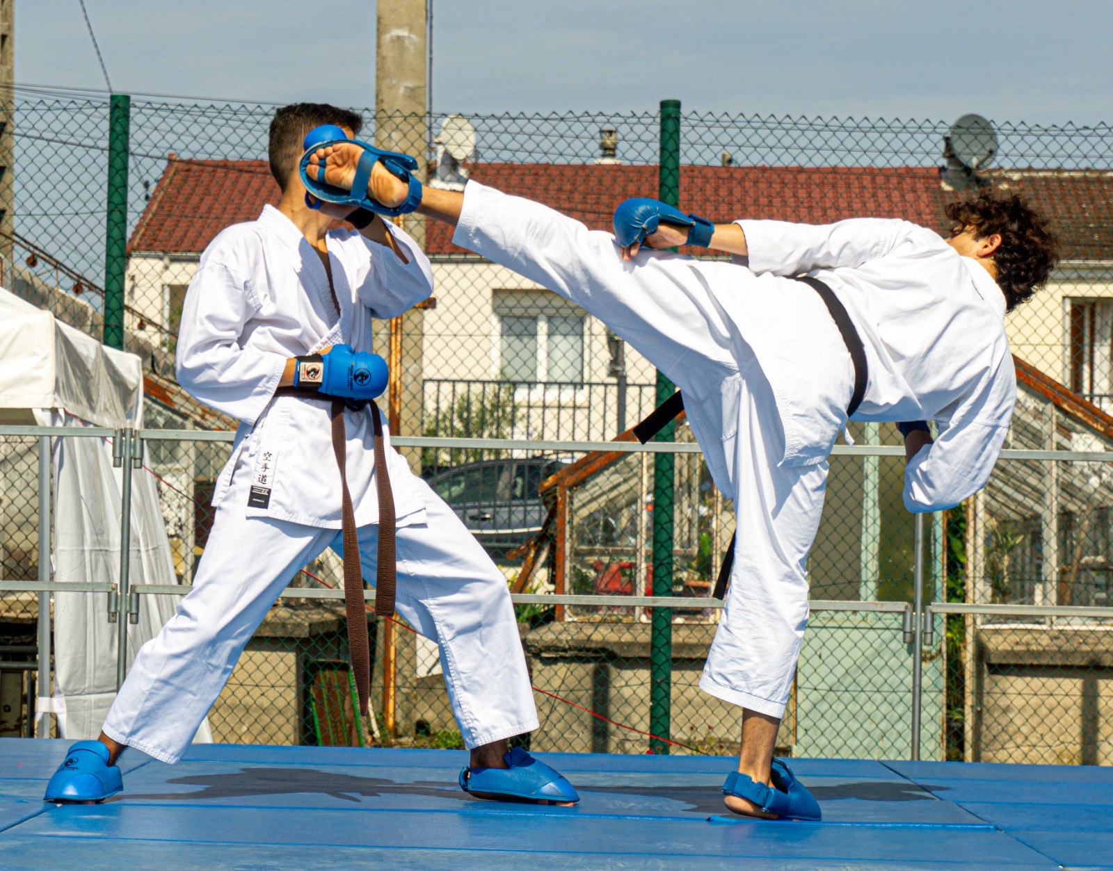 Bad9cdf8 d3f4 41ff ada3 a7e308888163