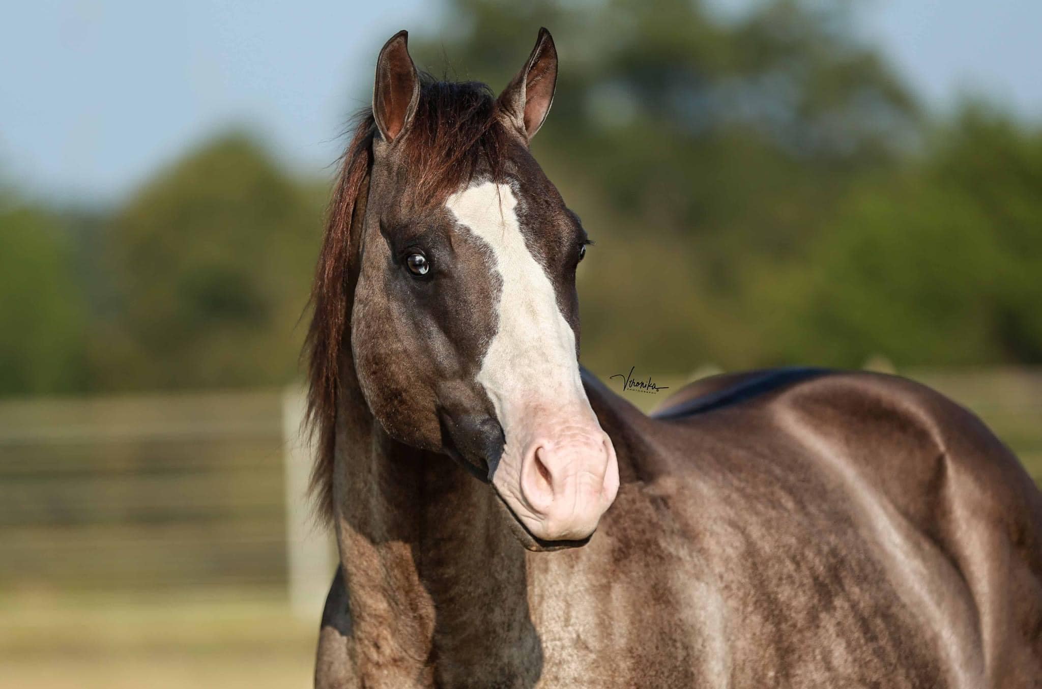 457510414 3868184653426158 7410406133423615144 n