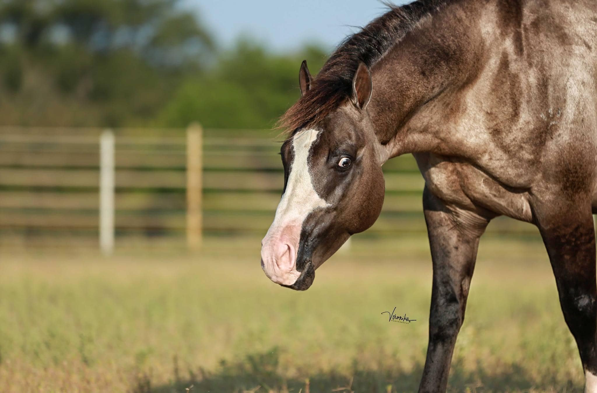 457509924 3868184703426153 2934551332657471590 n