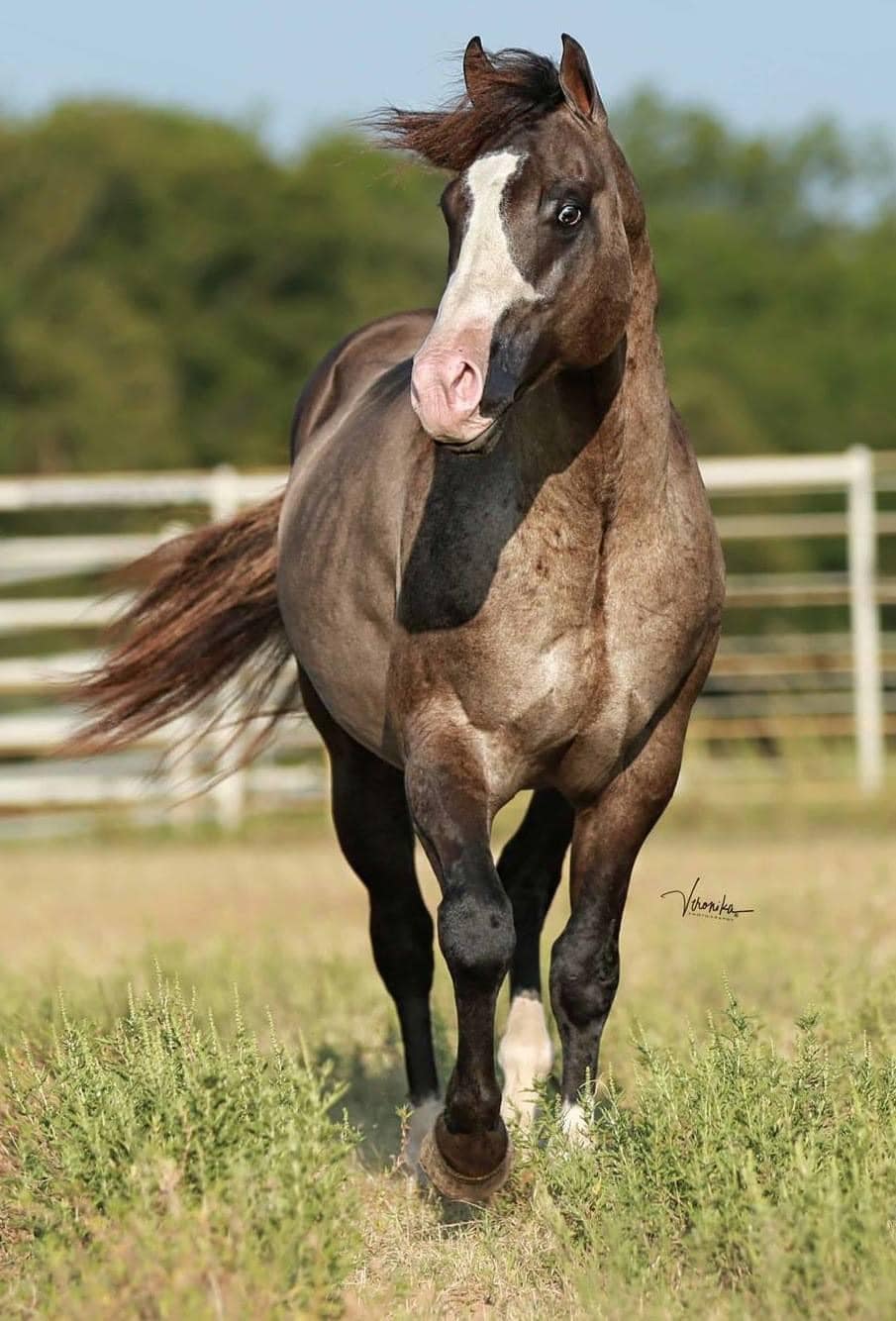 457399956 3868184623426161 8273688367457180466 n