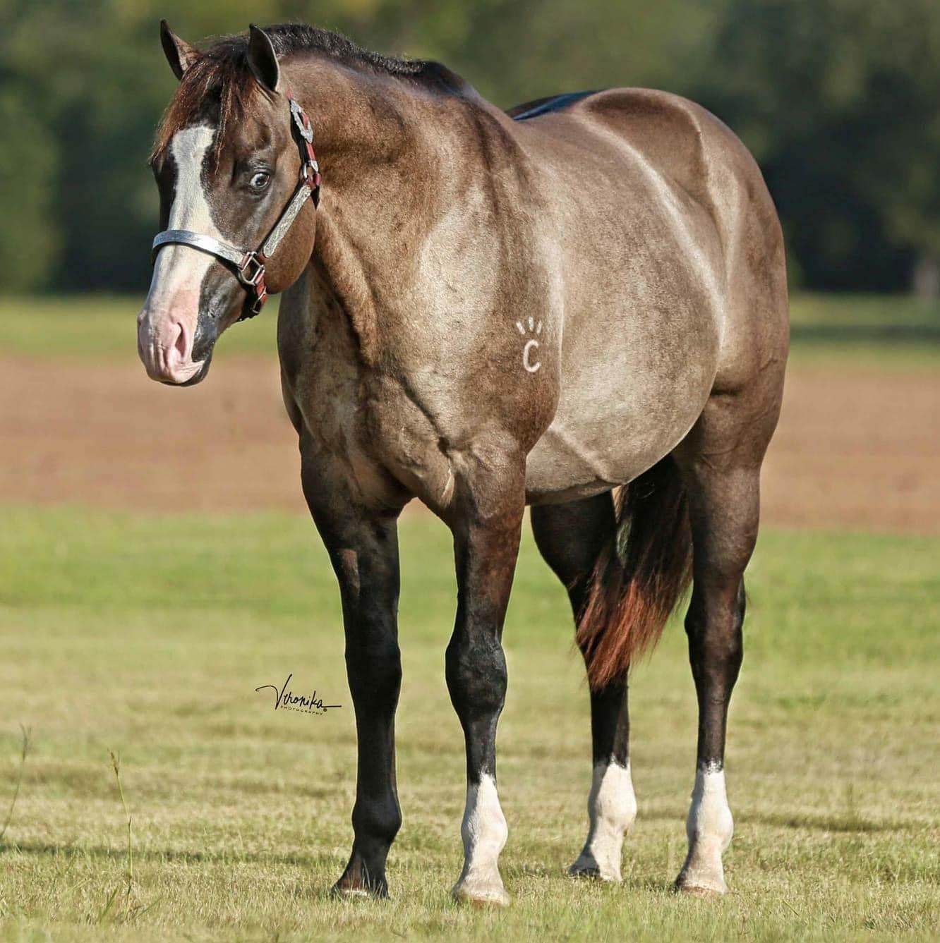 457389989 3868184616759495 5632471047342138797 n