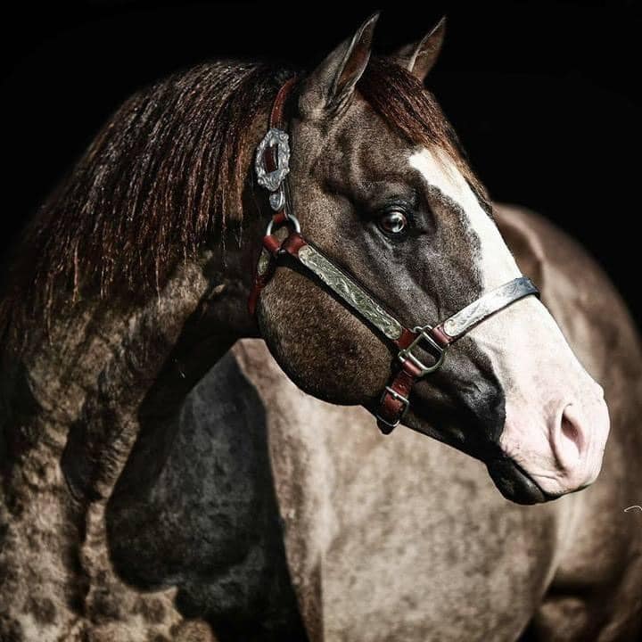 457254315 3868183170092973 2942226372275128110 n