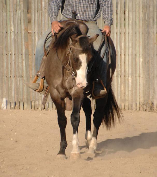 457099200 3865540017023955 6114329623601263386 n