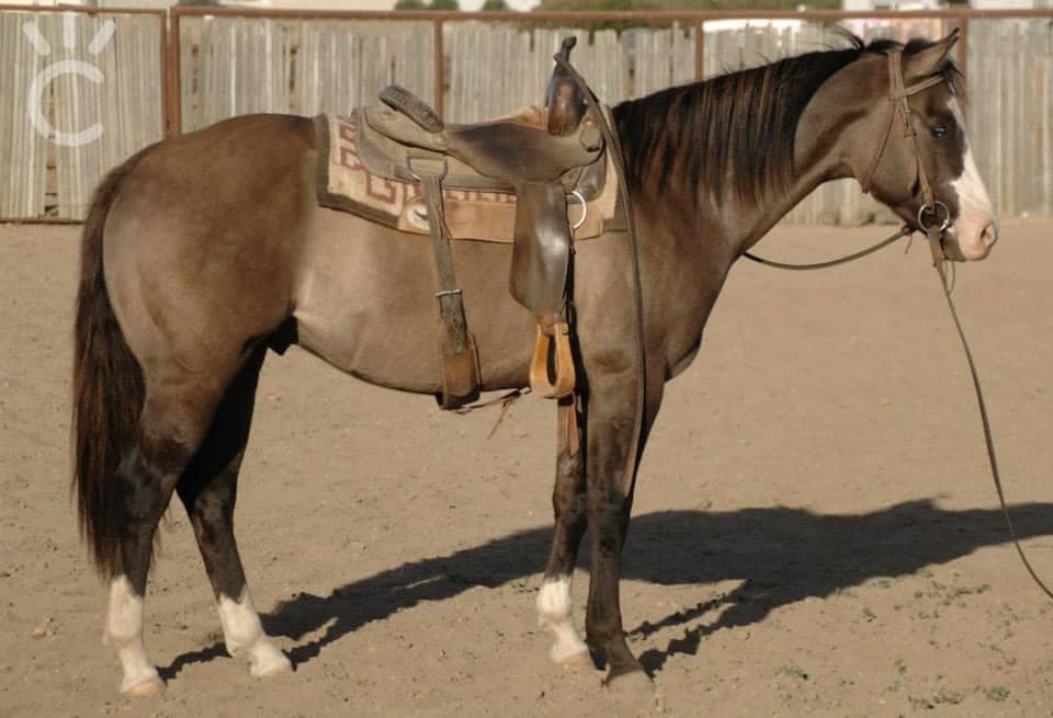 456960144 3865540033690620 5499417580285072875 n