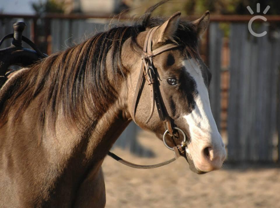 456735062 3865539960357294 7039688046052687417 n