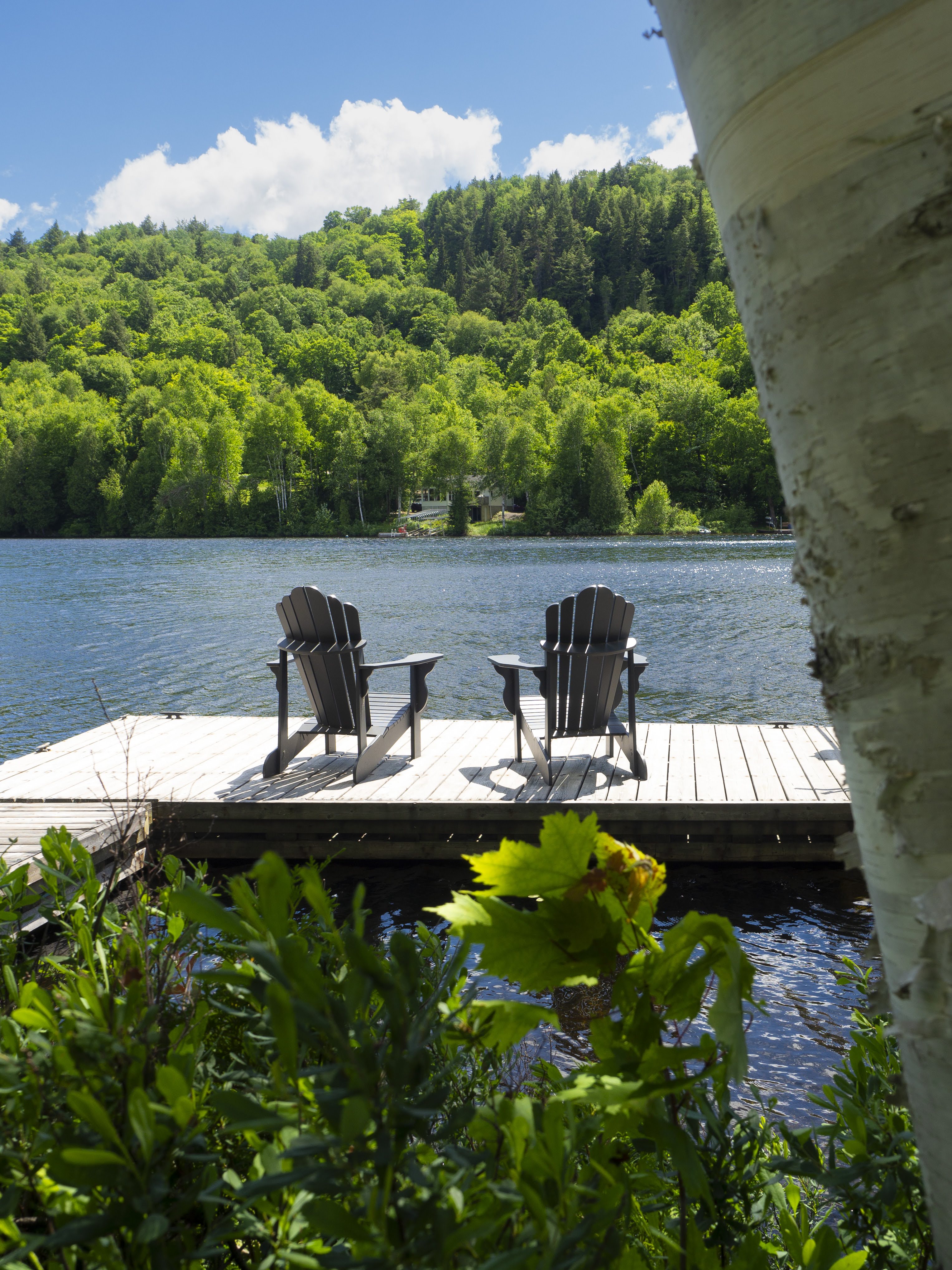 Chalet lac souris 16