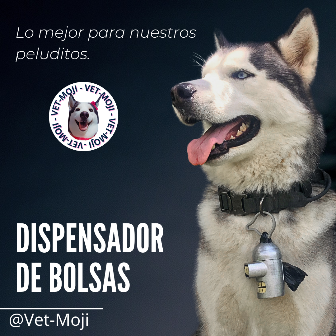 Copia de vet moji 41 