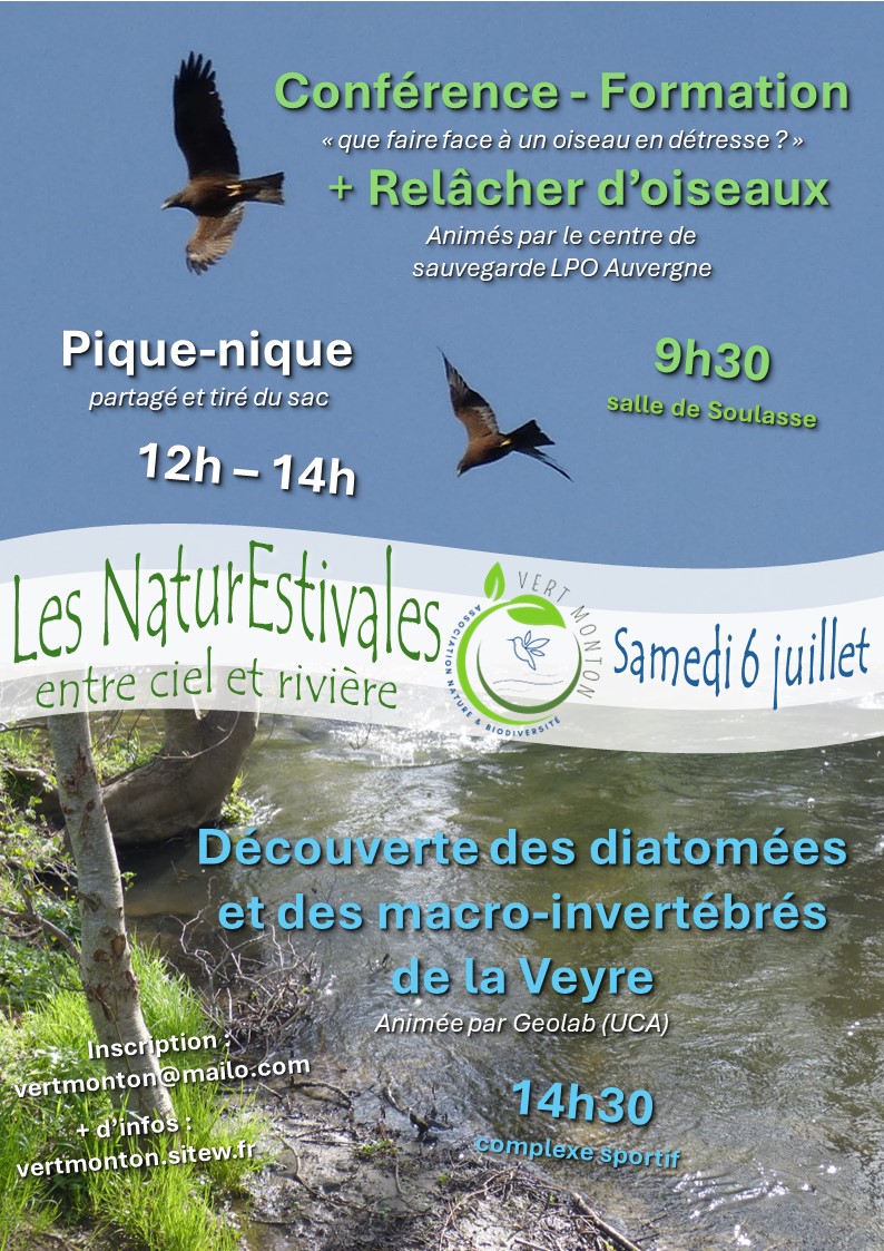 Affiche naturestivales 2024 4b