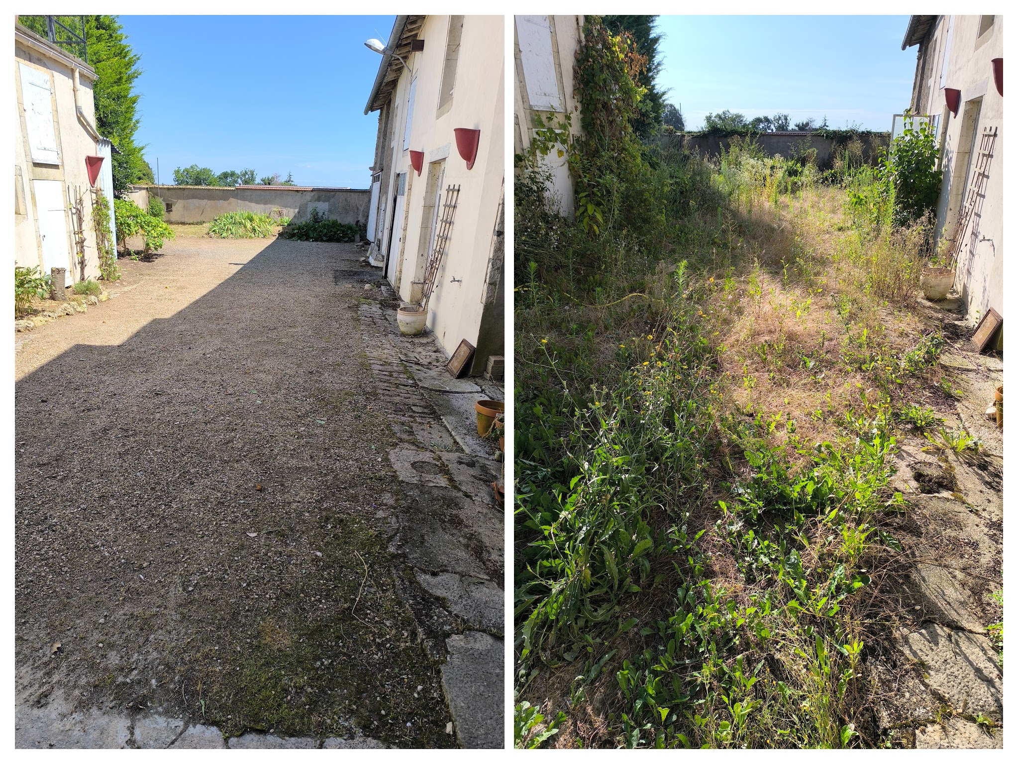 Img 20240725 084634 collage