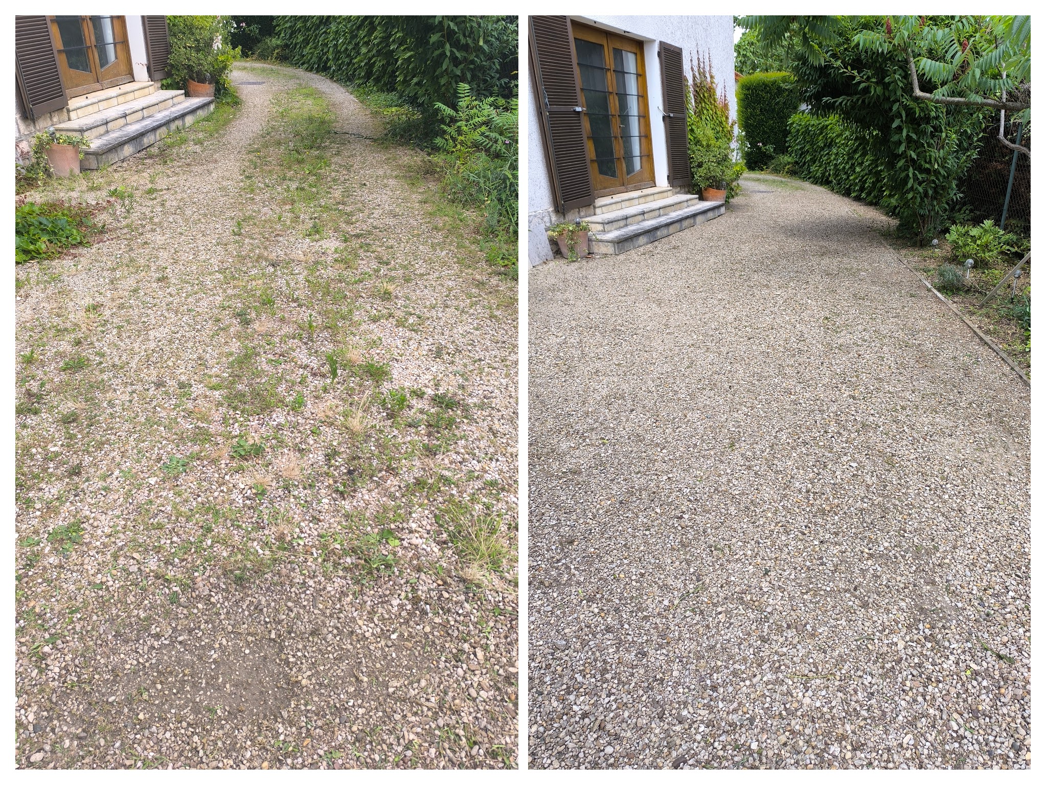 Img 20240724 125003 collage