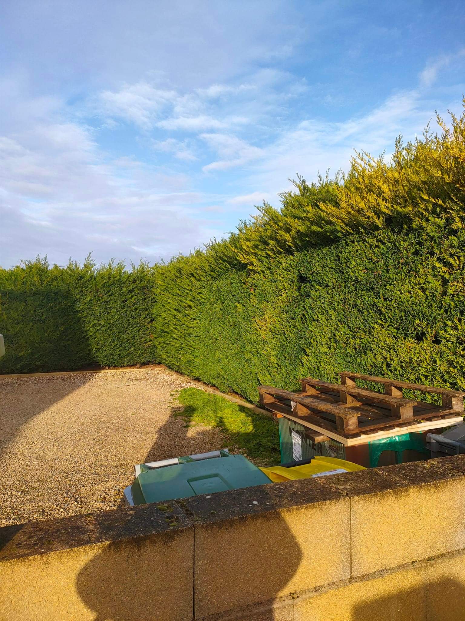 Fb img 1707999123487