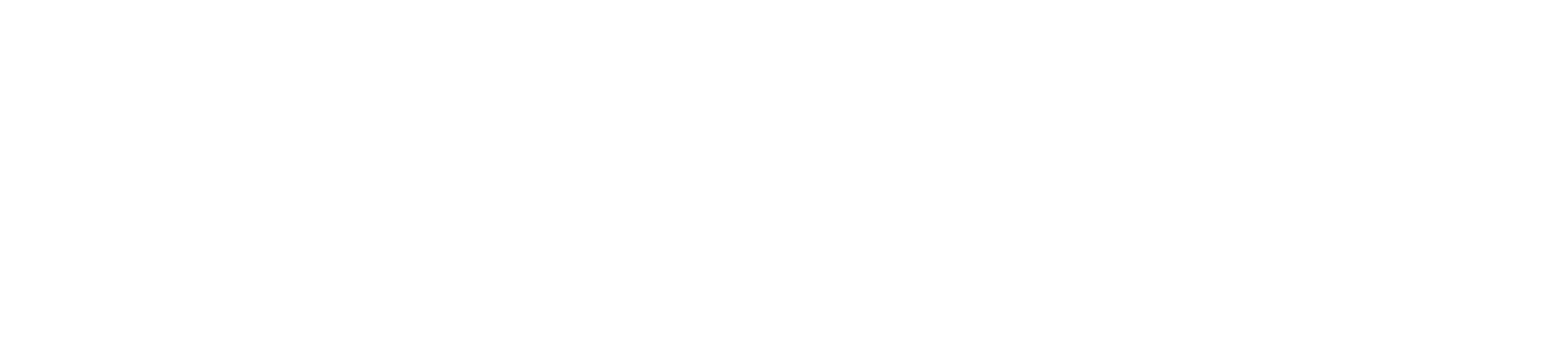 DC-logo-blanc