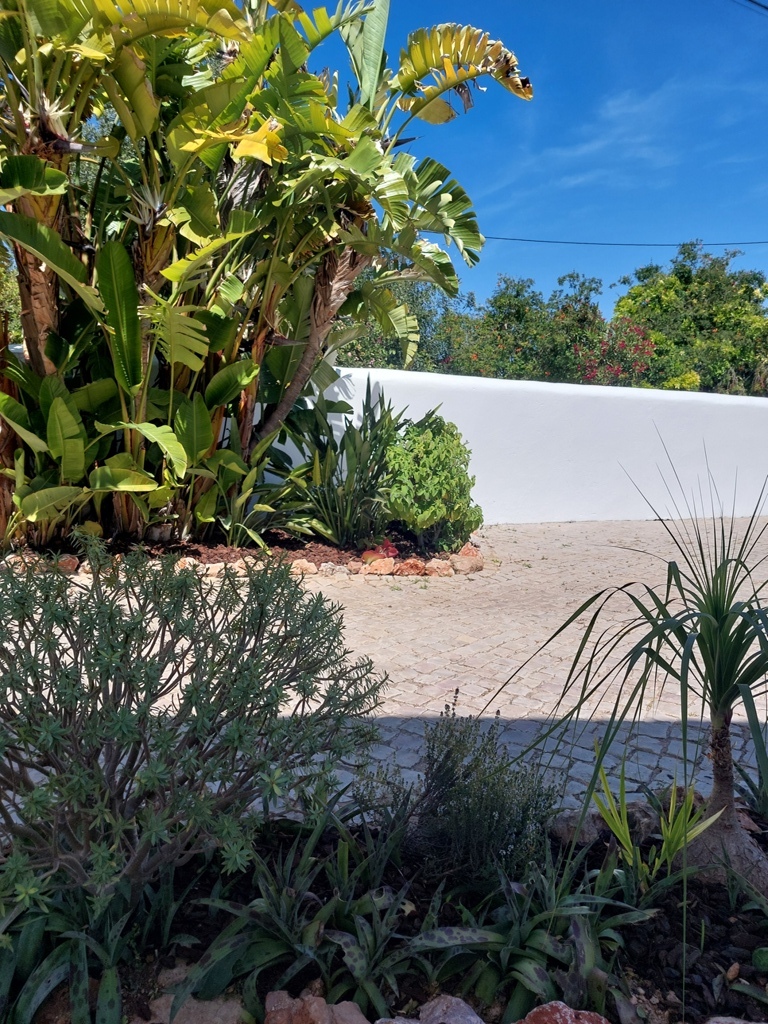18 chambre jardin