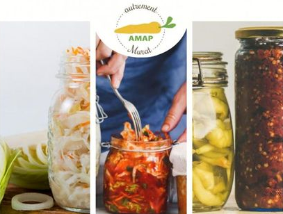 (Re)découvrez la lactofermentation (Conférence le 9 octobre)