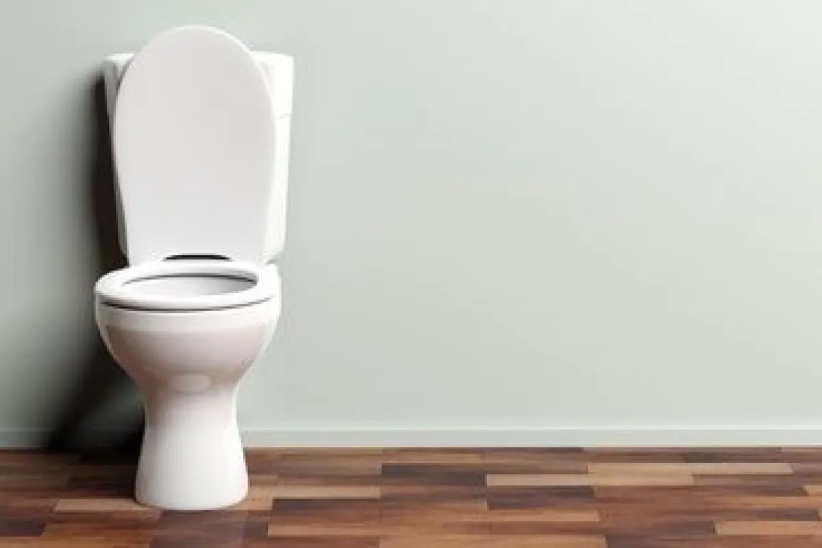 Besoin d'une toilette moderne à poser sans bride pour une meilleure hygiène et un entretien facile à Rezé
