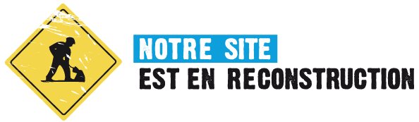 Logo Nt-st-est-en-rctt