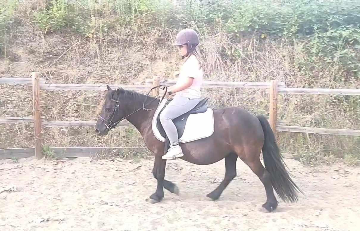 456238357 538361298701224 3468578176989127674 n