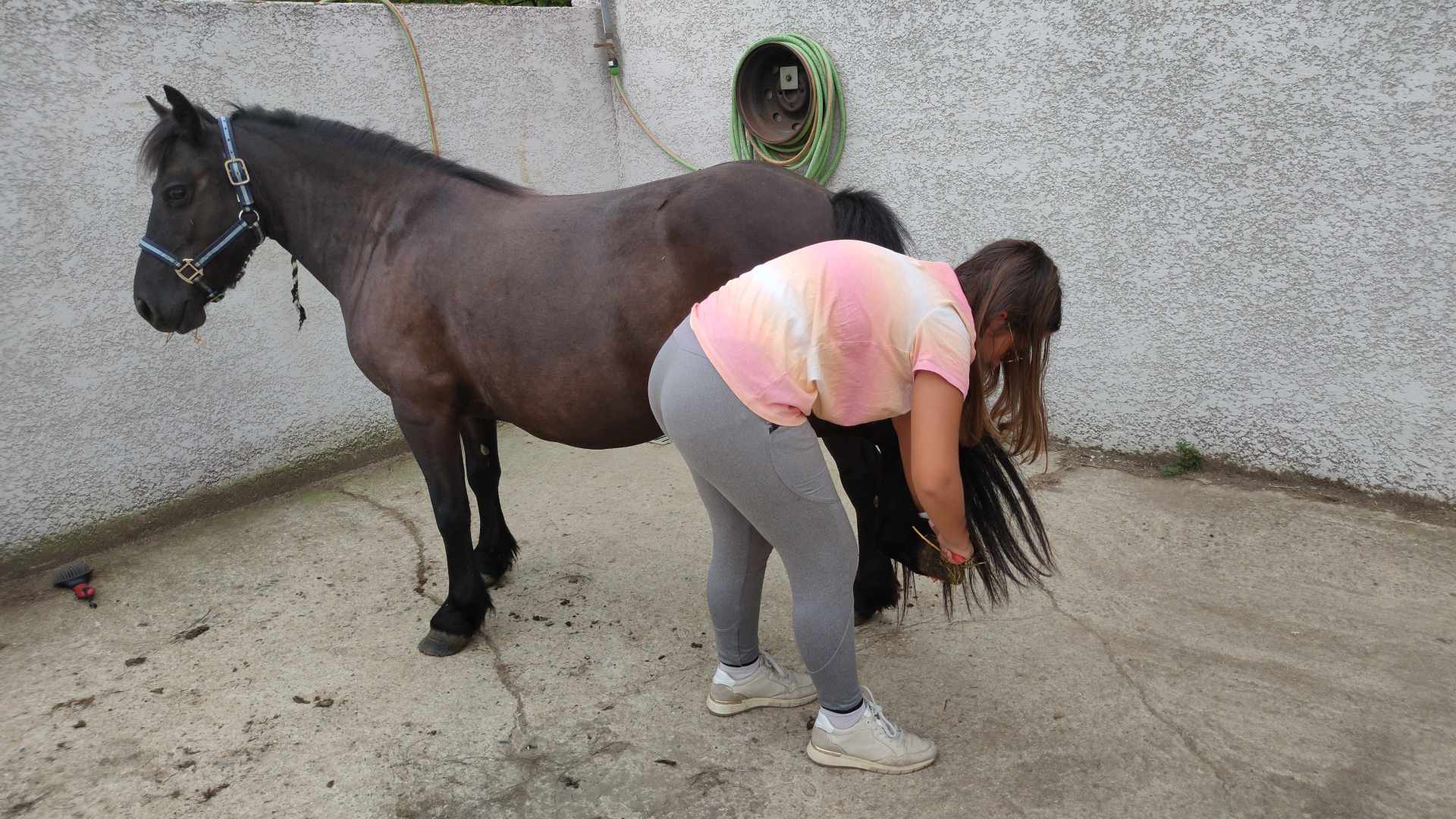 456290467 526582263208909 8225914664929026849 n