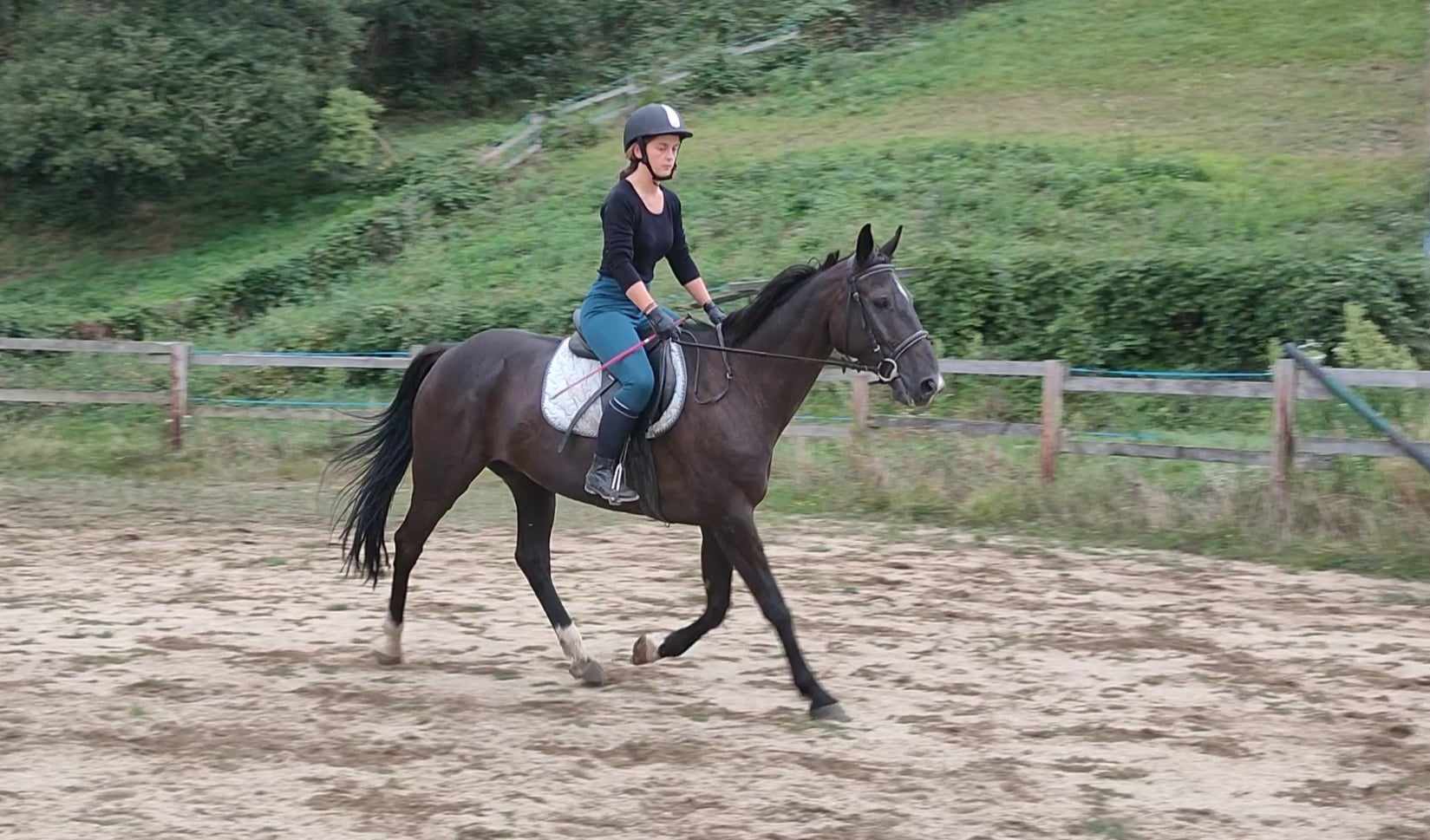 458245241 1753929385368972 4786014301925614037 n