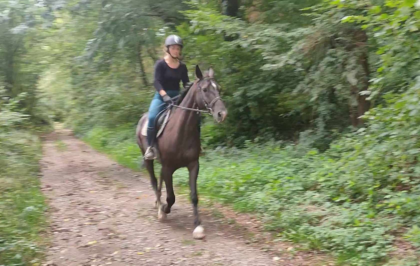 458269703 535836702175566 6344922244313508463 n