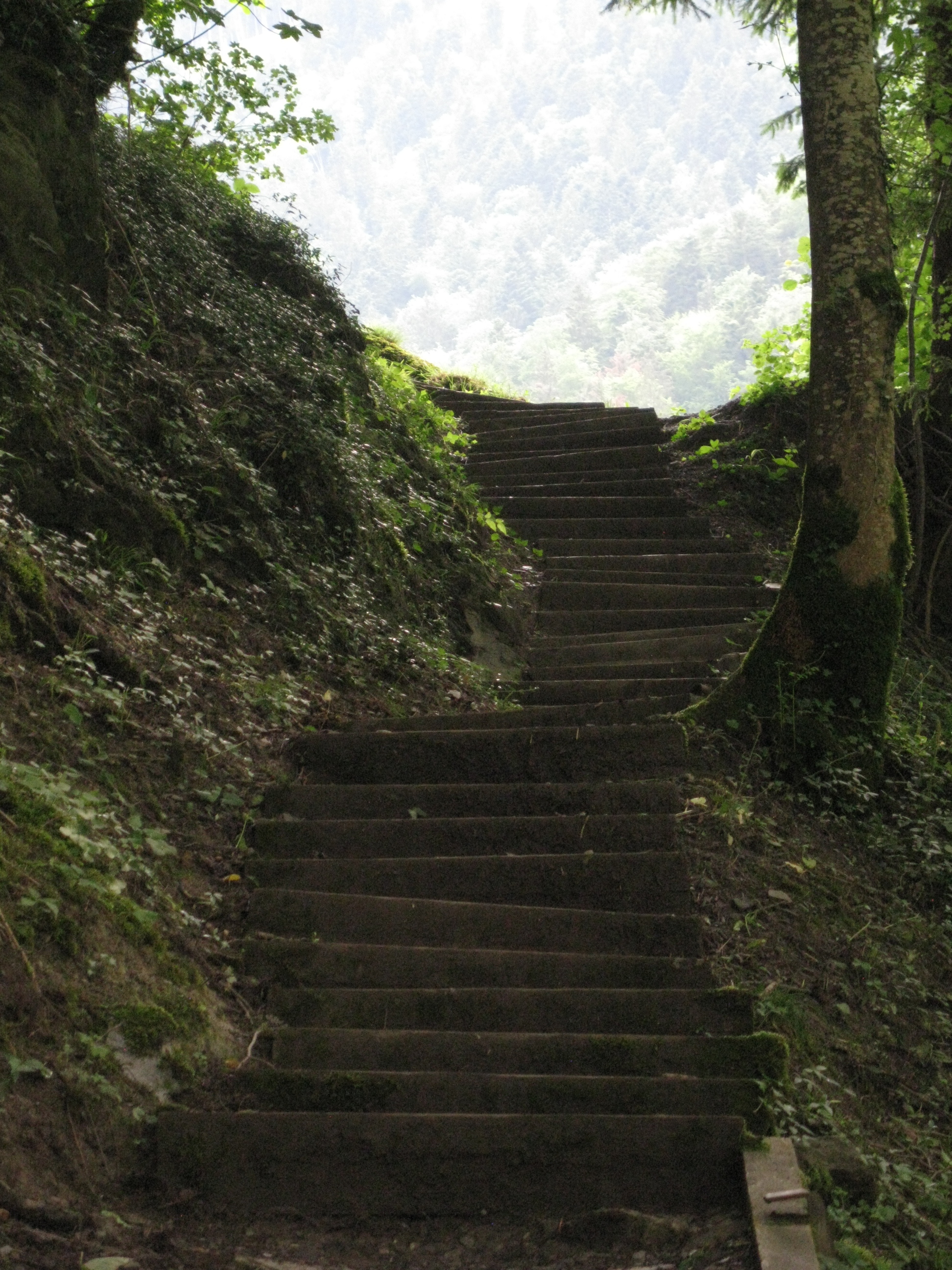 Treppe