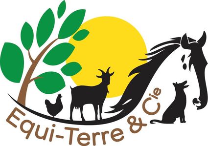 Logo-equiterre-et-cie