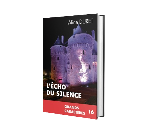 3D L e-cho du silence GC-removebg-preview