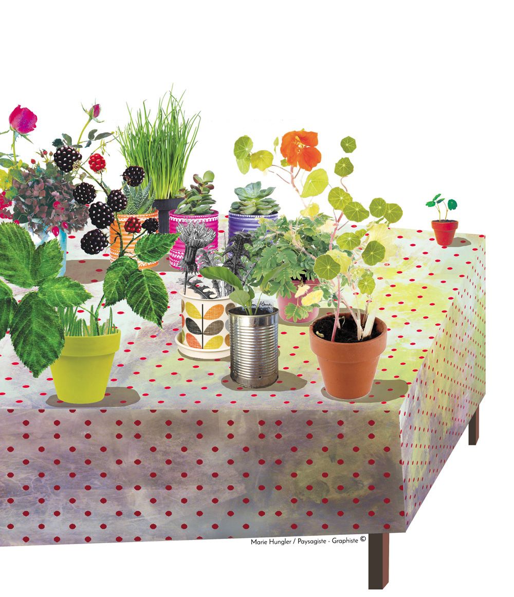 Table-plantes-accueil