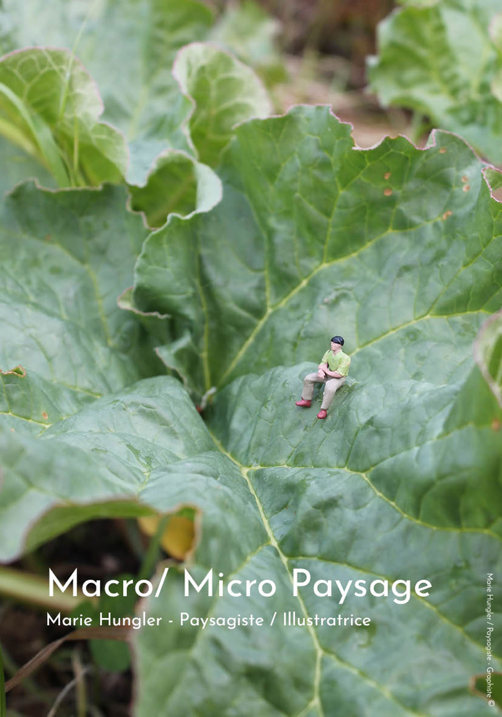 MicroMacro-Paysage