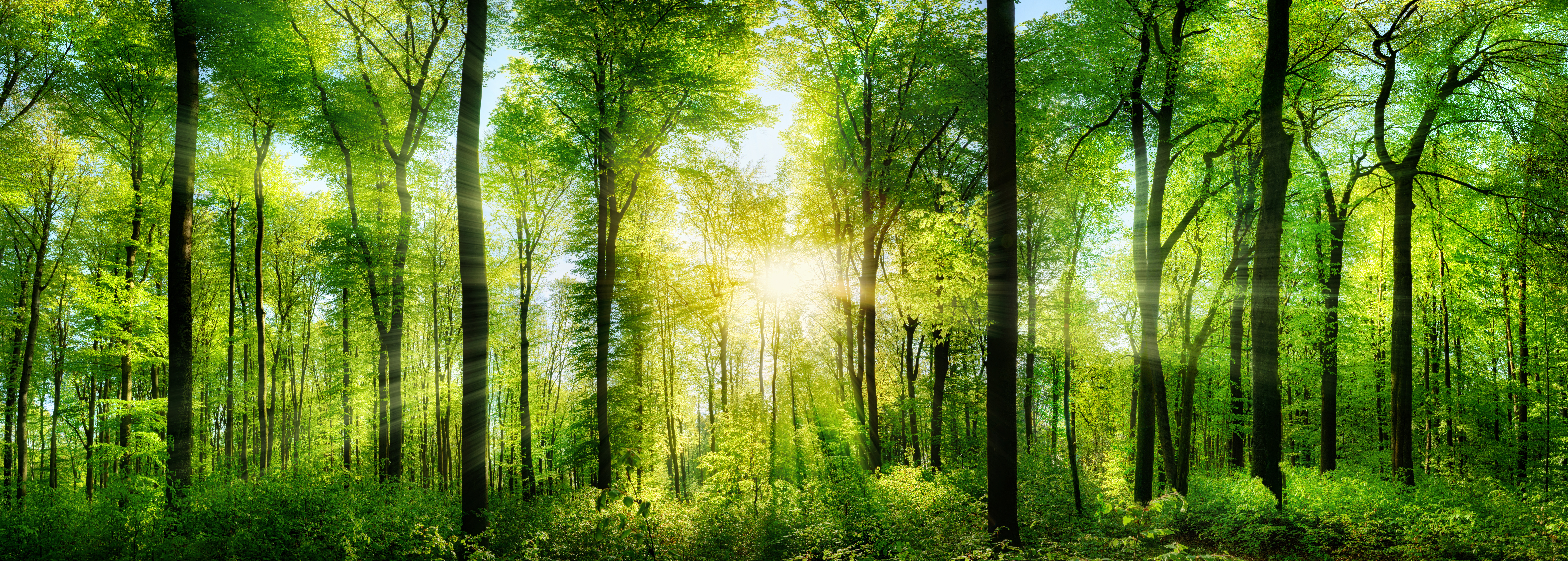 Shutterstock 276530603