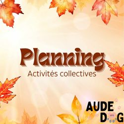 Planning des activités collectives d'Octobre