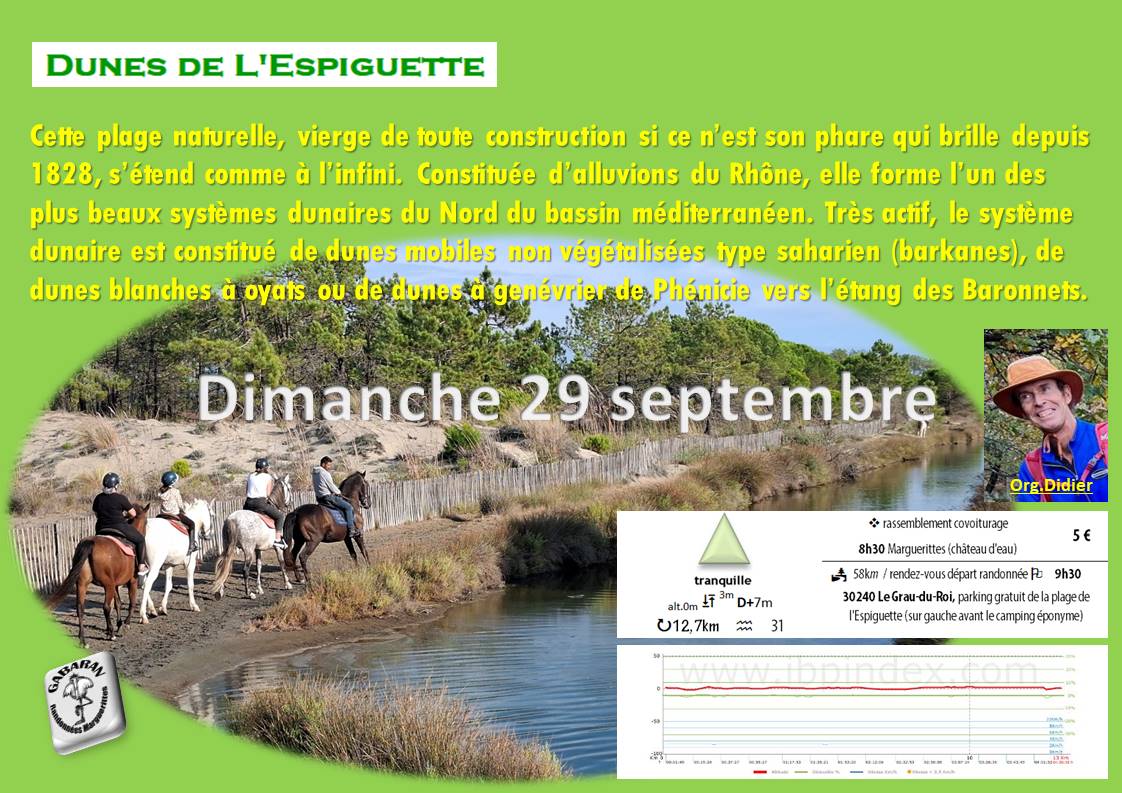 Dunes-de-l-Espiguette-