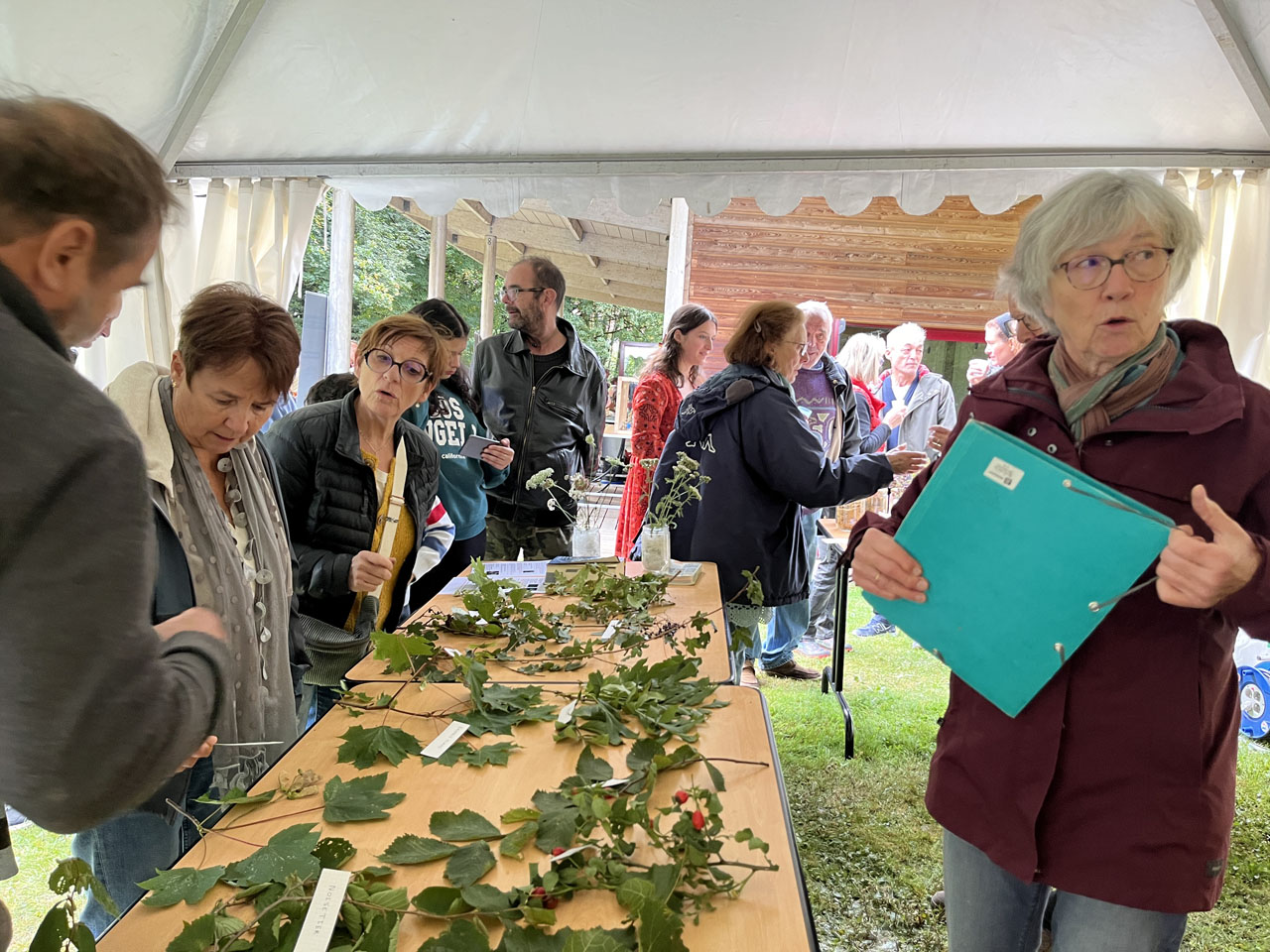 Fête de la Plantelière 2024